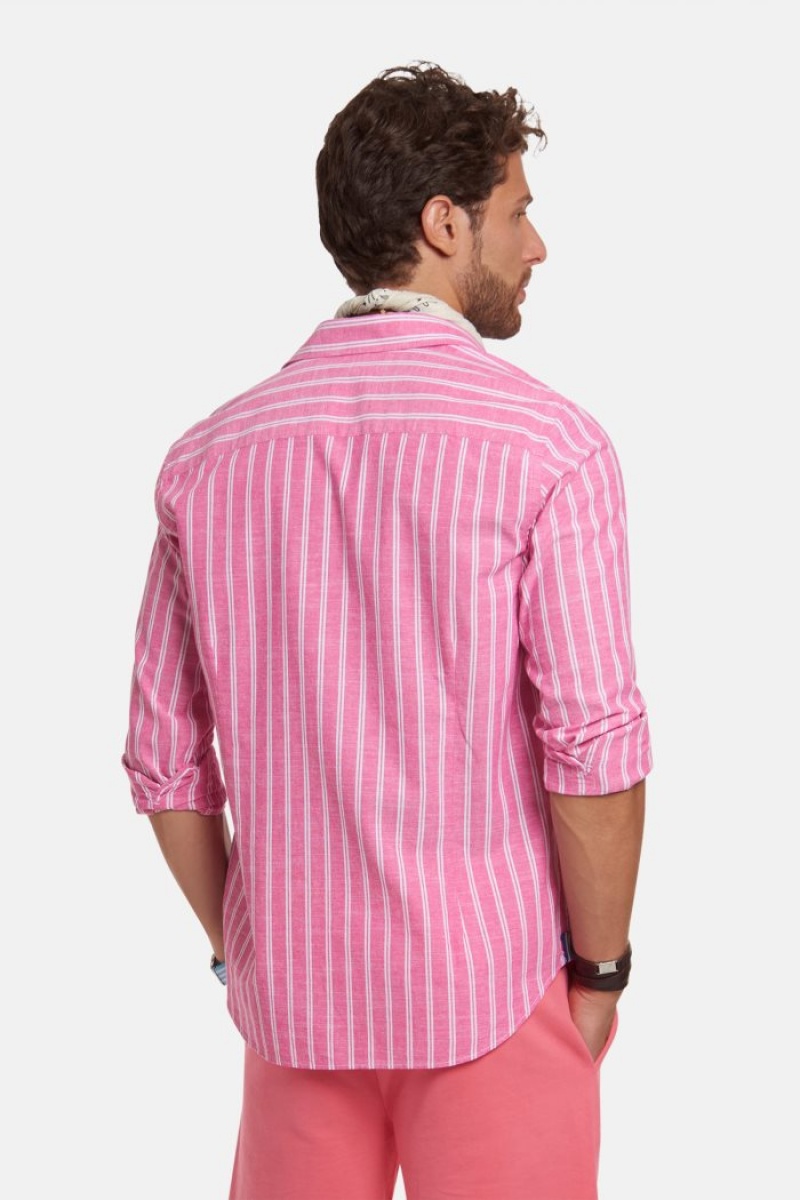 Camisas La Martina Regular-fit 100% Cotton Hombre Rosas / Blancas Chile | GWZ-7812