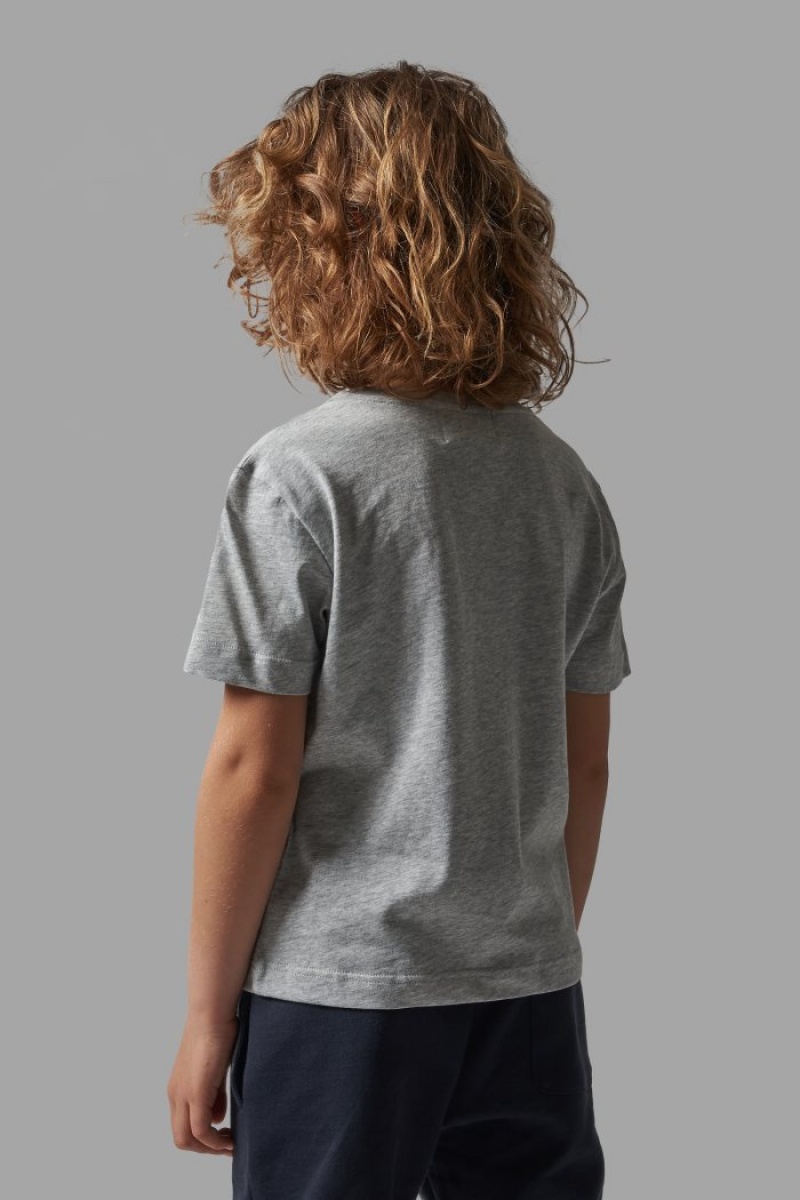 Polera La Martina Classic Cotton Niños Gris / Blancas Chile | JDB-4389