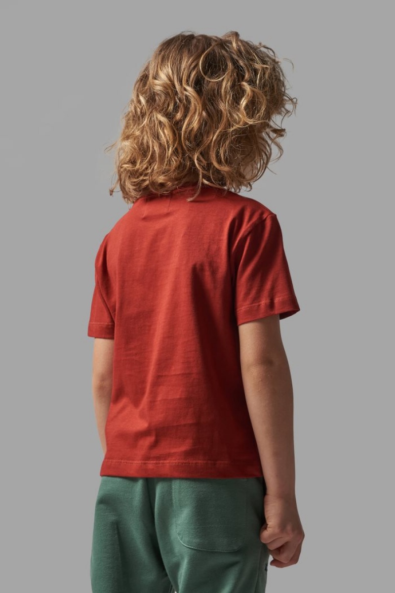 Polera La Martina Classic Cotton Niños Rojas Chile | ZZY-2438