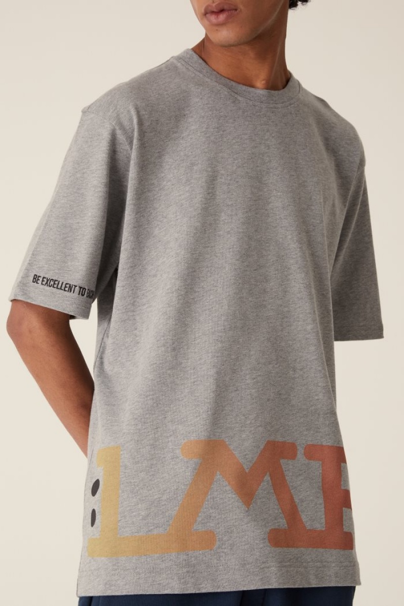 Polera La Martina LMRTN Basic Gris Chile | NXJ-6218