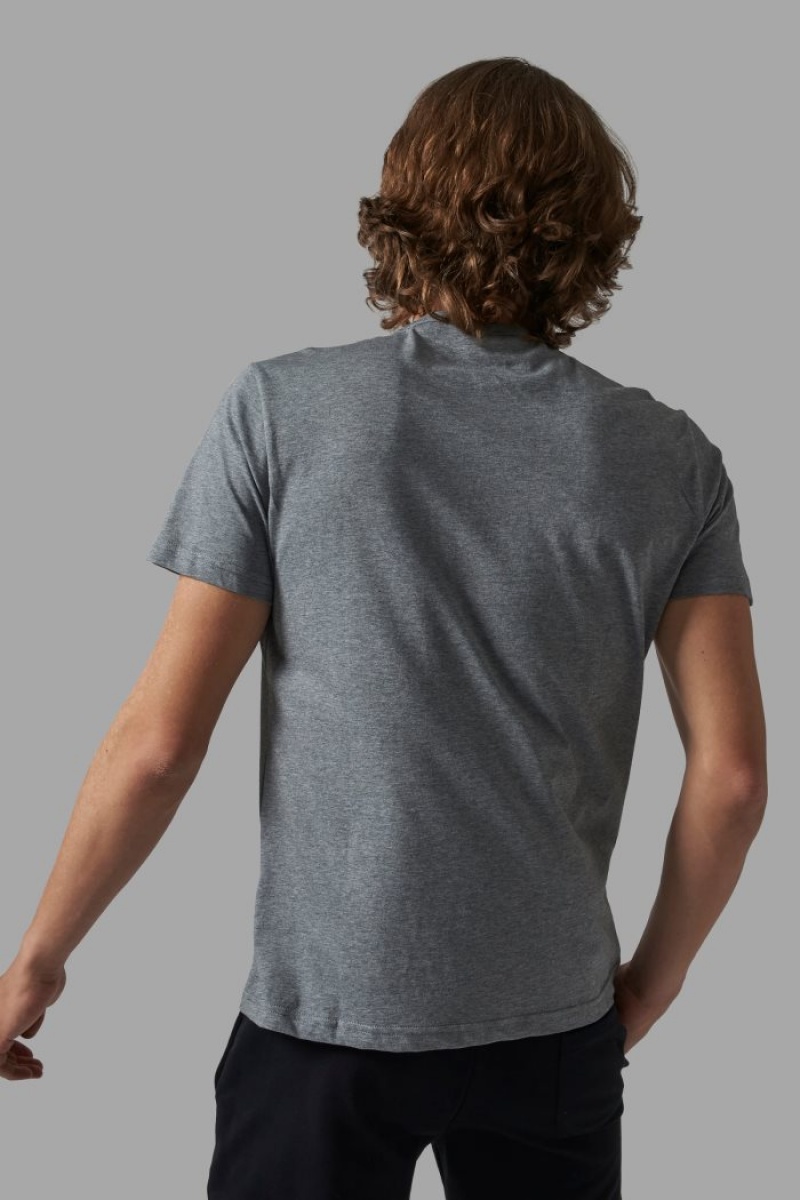 Polera La Martina Regular-fit Hombre Gris Chile | AQG-2458